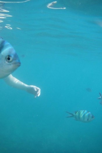 You're in trouble now, little fish