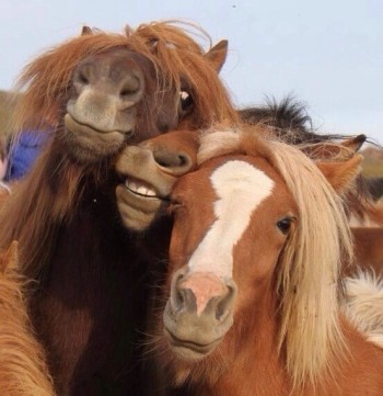 Every Drunk Girl Pic On Facebook