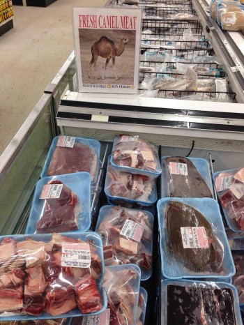 Camel Meat