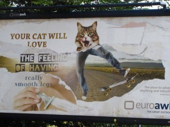 Torn Billboard