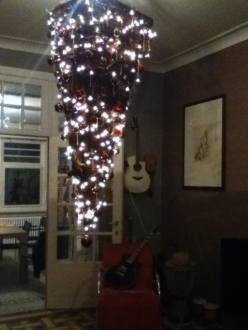 Australian Christmas Tree