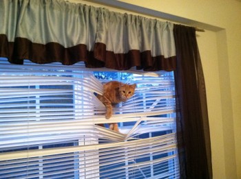 i'm stuck!!