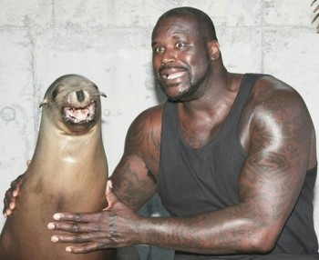 Shaq With A Seal