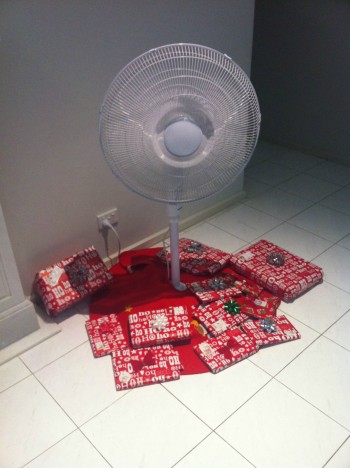 Australian Christmas Tree