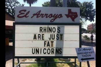 Rhinos
