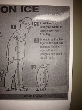 Walk Like A Penguin