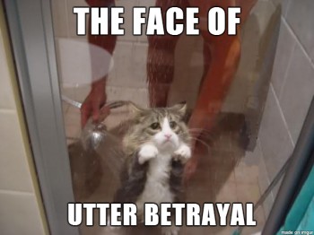 Betrayal