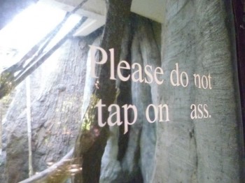 I'd tap dat