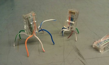 Networking Bugs