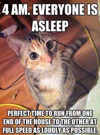 4am