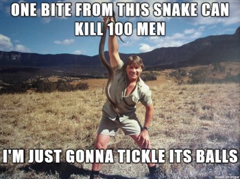 Steve Irwin