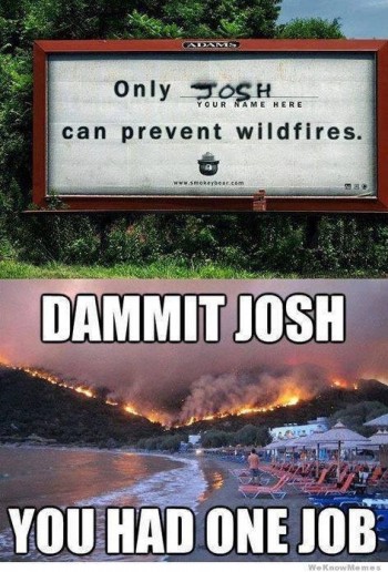 Thanks Josh...