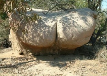 Butt Rock