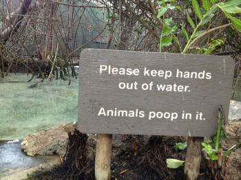 Alright Then