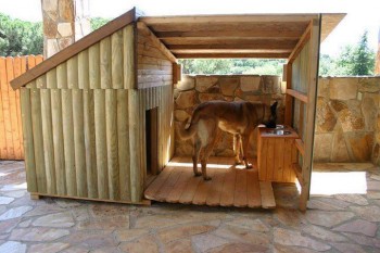Impressive Dog House