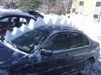 Fun With Snow