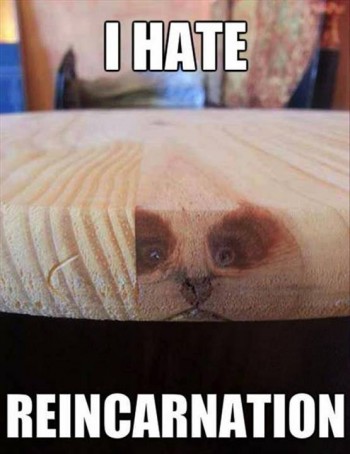 Reincarnation