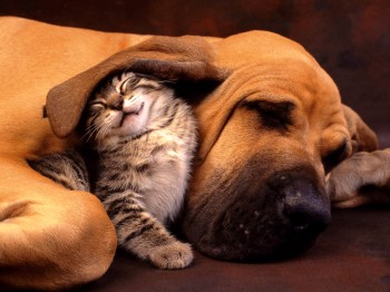 Best Friends