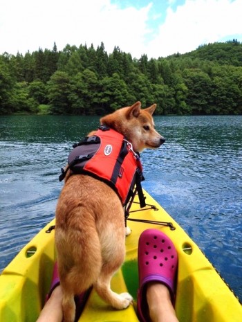 Such Boat