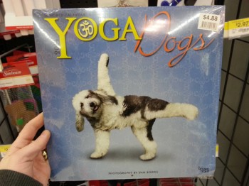 2014: Yoga Dogs