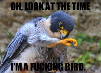 Look At The Time