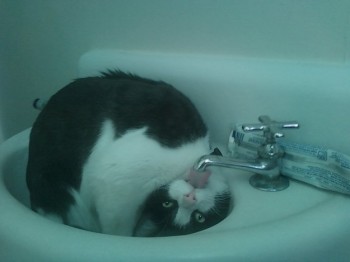 What? I'm thirsty