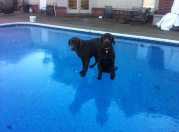 No swimming today
