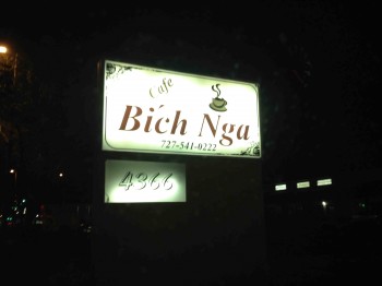 Bích Nga