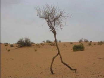 Buuraruummm... foorwaard to Isengaaard!