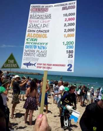 Shark Attack Statistics