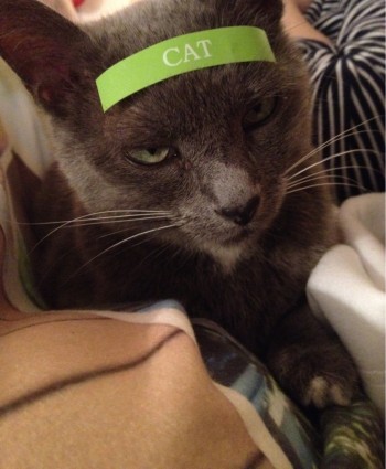 New Label Maker