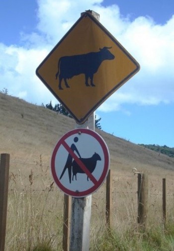 In Scotland