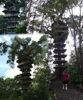 Treehouse