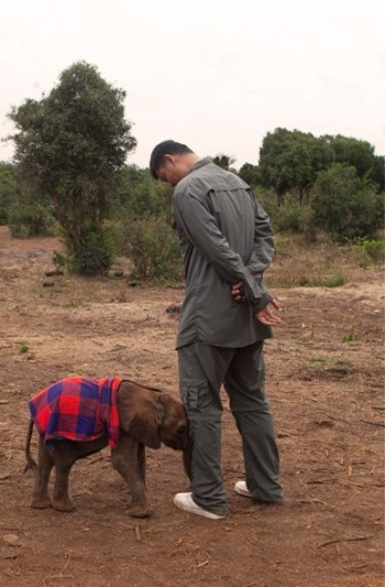 A Baby Elephant Nudges Yao Ming