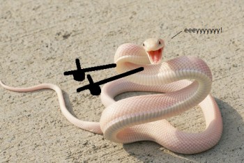 eeeyyyyyyy!