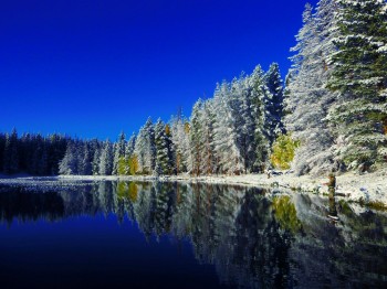 Fall Snow In Colorado