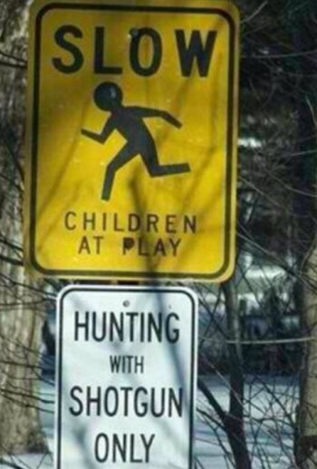 Shotguns and Children