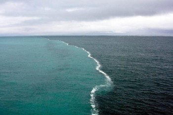 Gulf Of Alaska