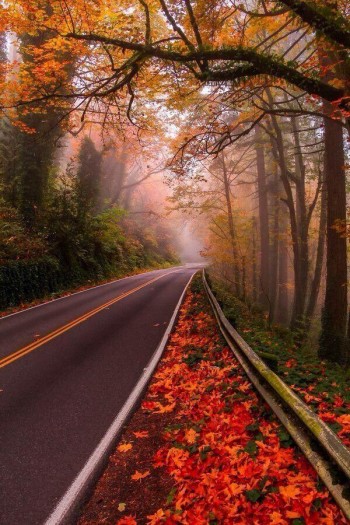 Down the Road