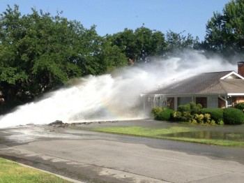 Sprung a Leak