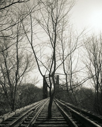 No Trains