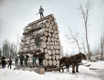 Looks Safe
