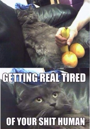 Getting Real Tired