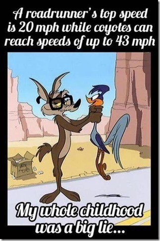 Top Speed