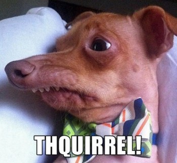 Thquirrel!