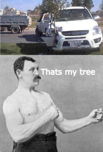 Manly Tree