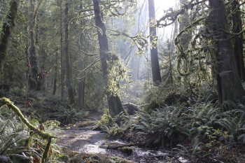 Evergreen State University