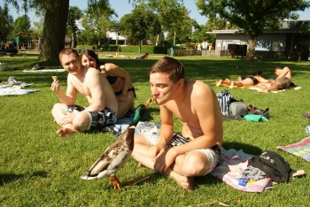 Feeding The Ducks