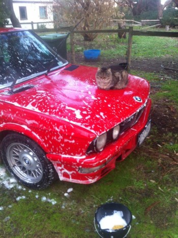 Washing A Car?