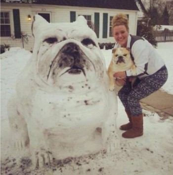 Snow Dog